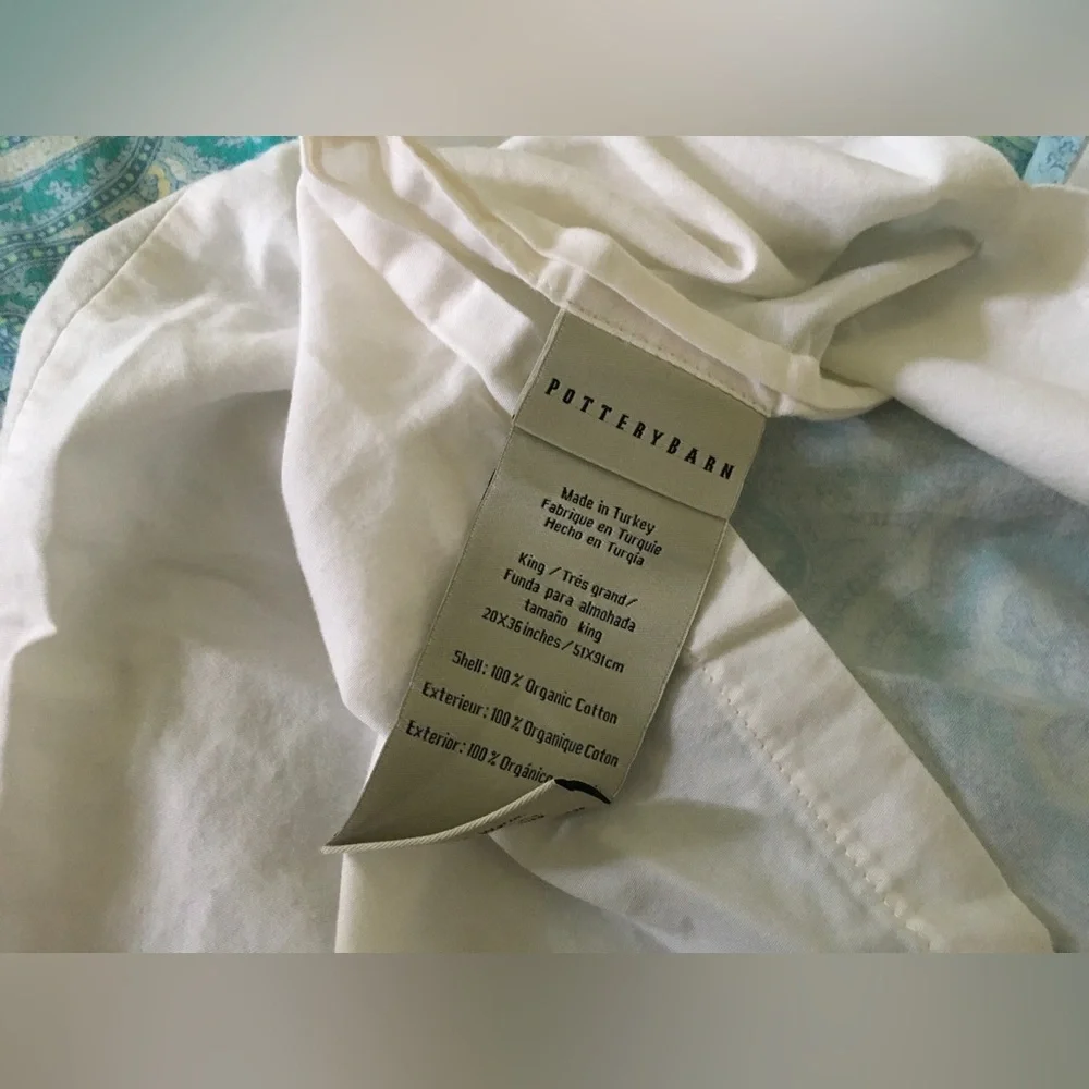 Pottery Barn Claire king organic cotton 1 sham